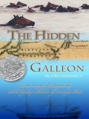 cover image of The Hidden Galleon